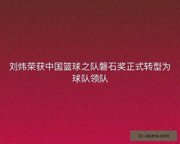 刘炜荣获中国篮球之队磐石奖正式转型为球队领队