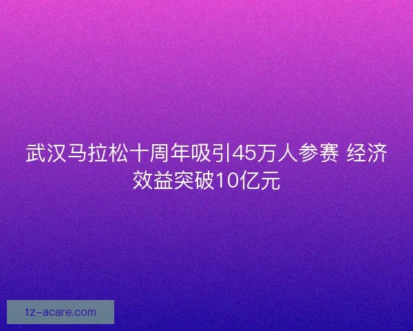 武汉马拉松十周年吸引45万人参赛 经济效益突破10亿元